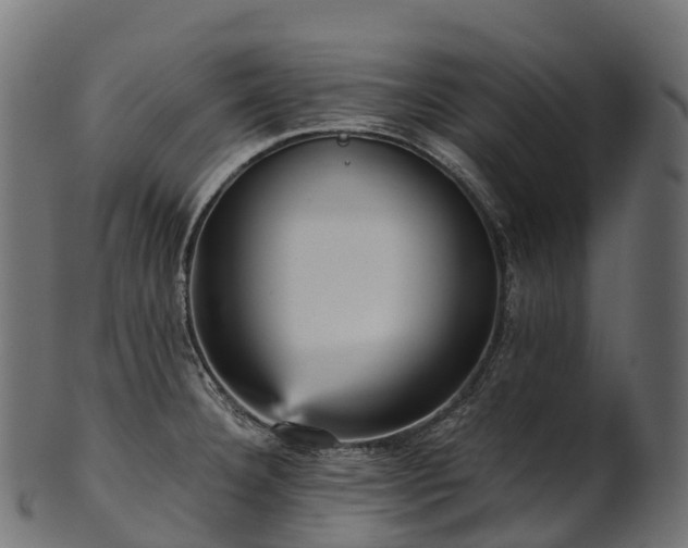 X0000101121332200807031754