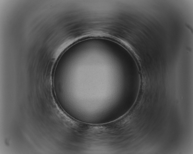 X0000101121335200807031754