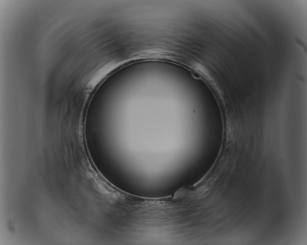 X0000101121336200807031754
