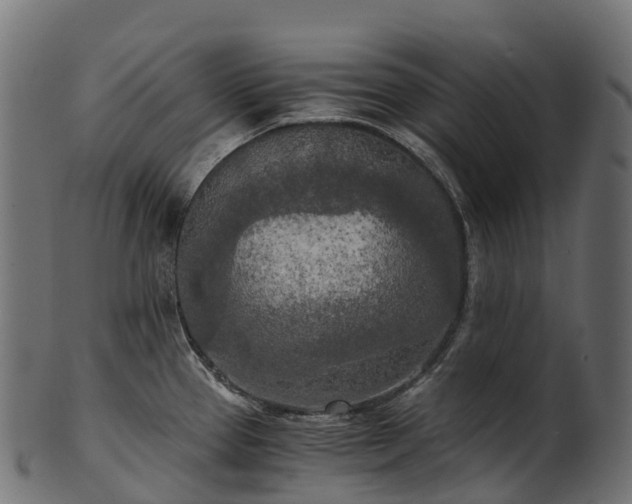 X0000101121337200807031755