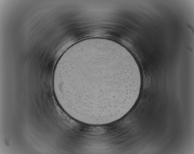 X0000101121338200807031755