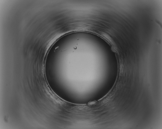 X0000101121340200807031755
