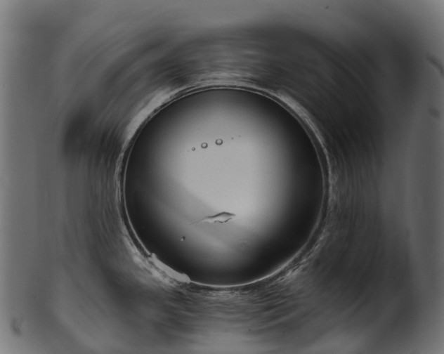 X0000101121341200807031755