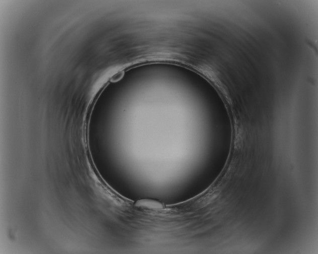 X0000101121342200807031755