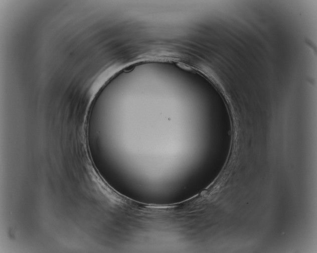 X0000101121344200807031755
