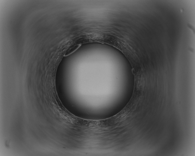 X0000101121345200807031754