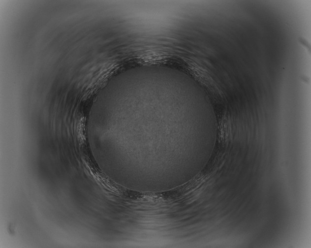 X0000101121346200807031754