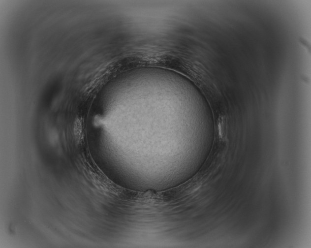 X0000101121347200807031754
