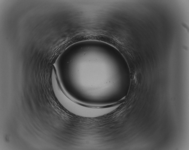 X0000101121348200807031754