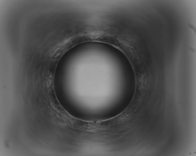 X0000101121349200807031754