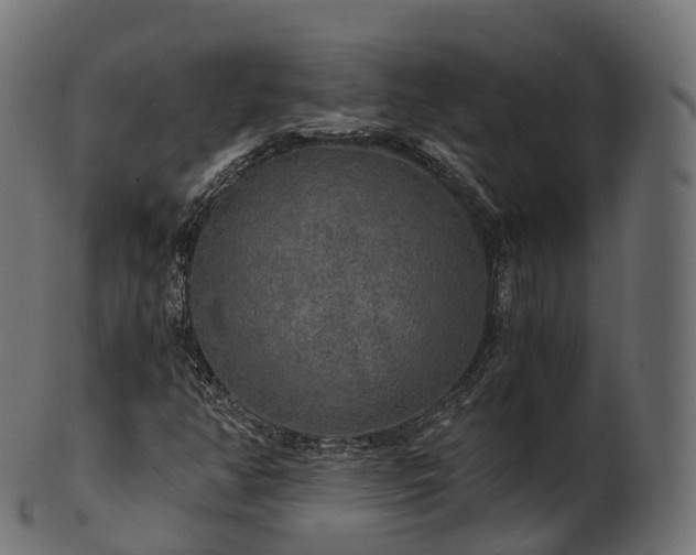 X0000101121350200807031754