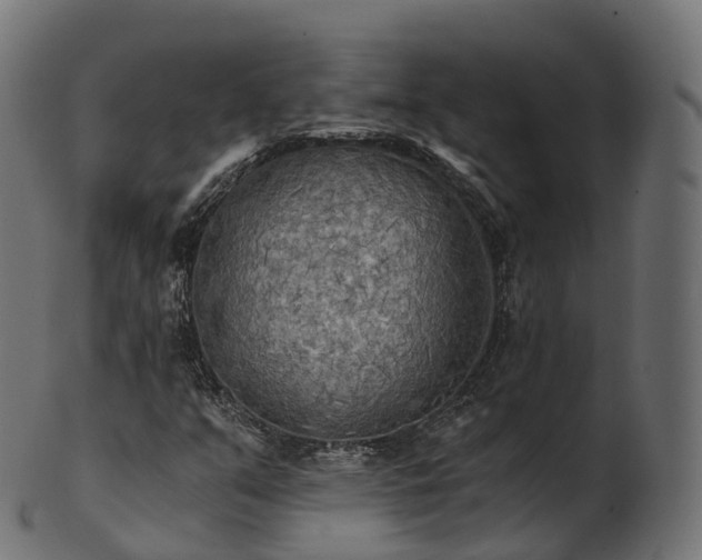 X0000101121351200807031754