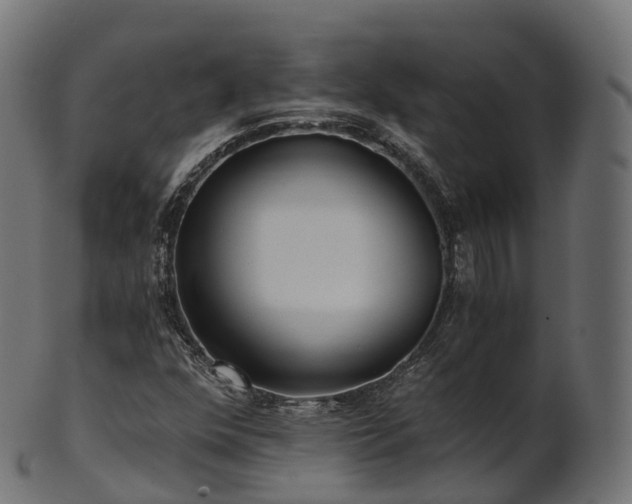 X0000101121352200807031754