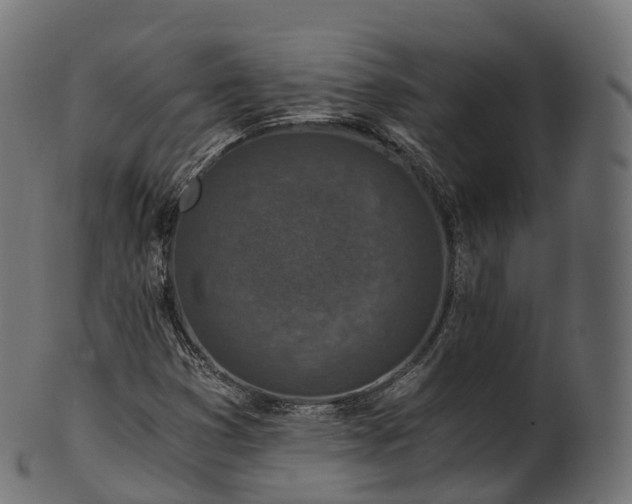X0000101121353200807031754