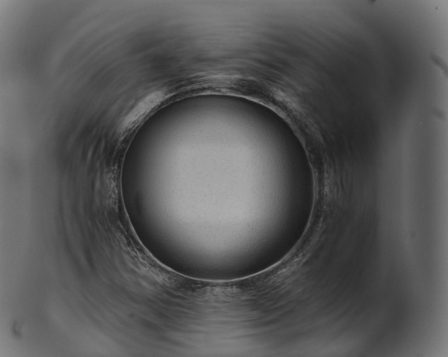 X0000101121354200807031754