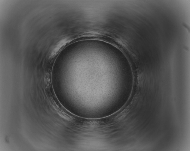 X0000101121355200807031754