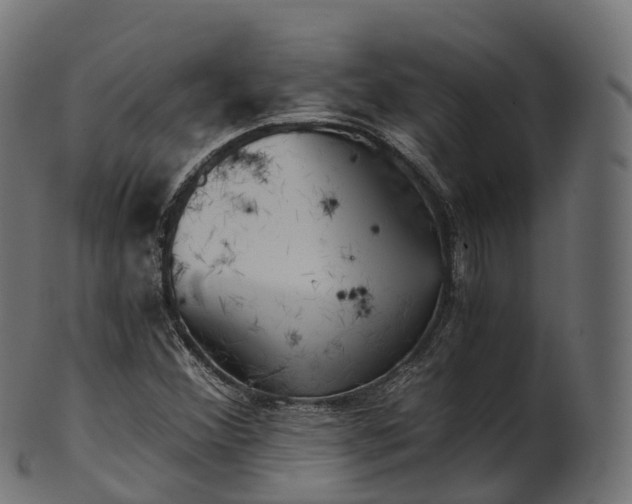 X0000101121356200807031754