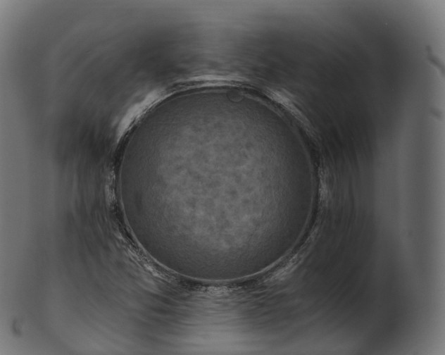 X0000101121357200807031754