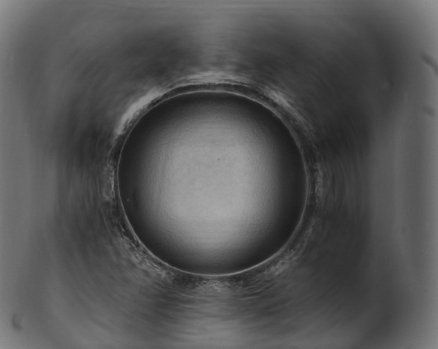 X0000101121358200807031754