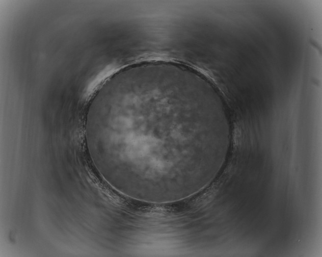 X0000101121359200807031754