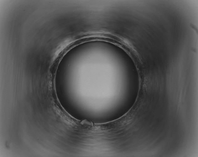 X0000101121360200807031754