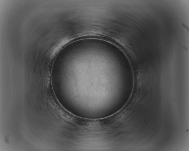 X0000101121363200807031754