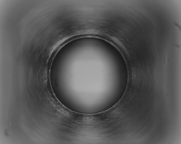 X0000101121364200807031754
