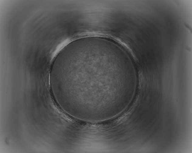 X0000101121365200807031754