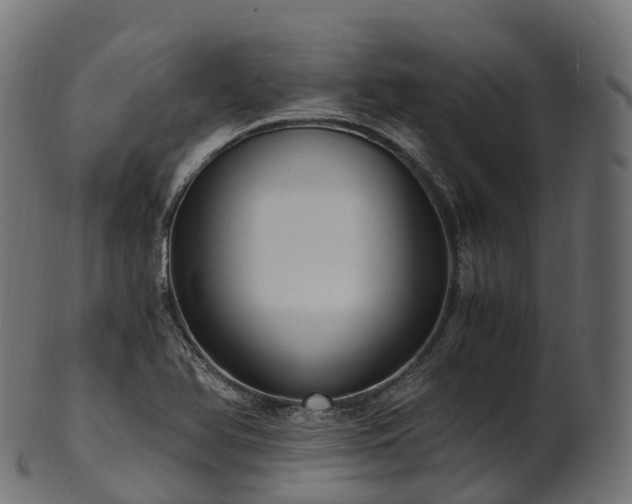 X0000101121366200807031754