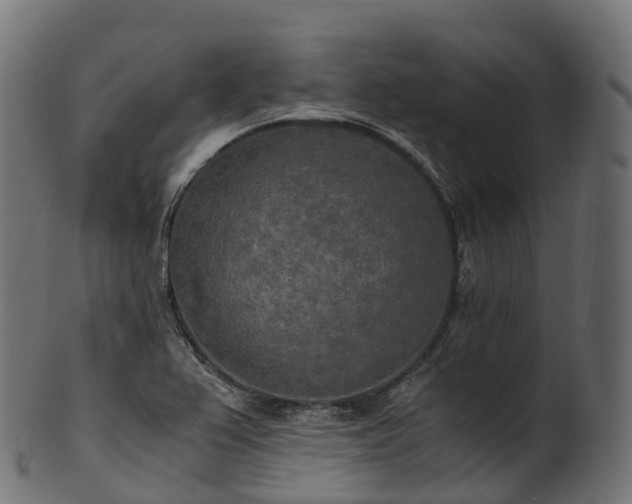 X0000101121367200807031754