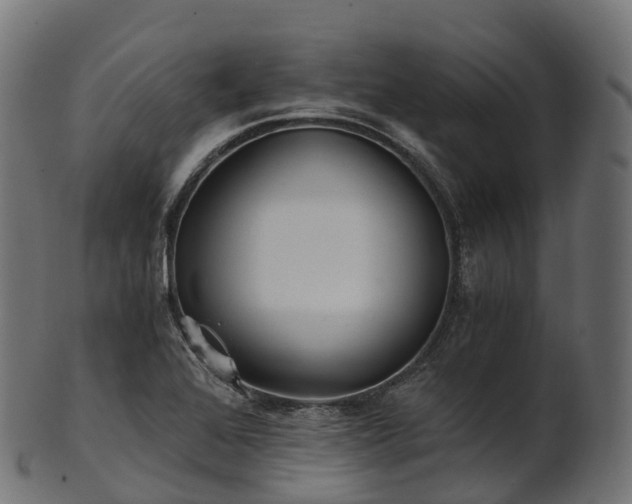 X0000101121368200807031754