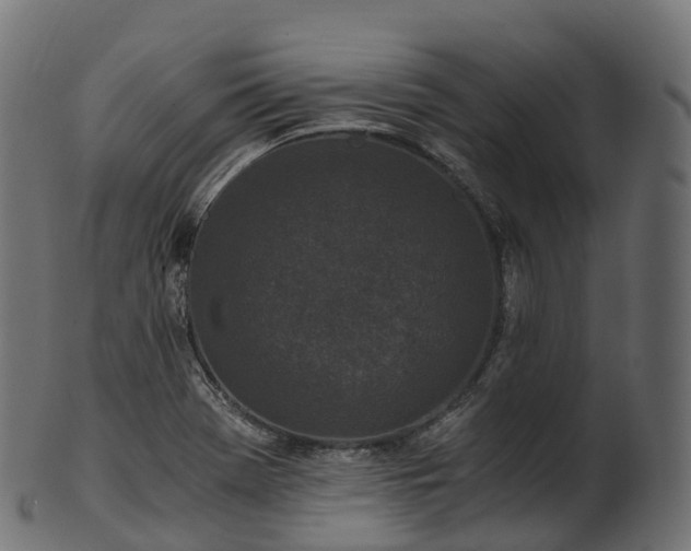 X0000101121369200807031754