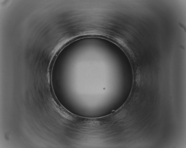 X0000101121372200807031754