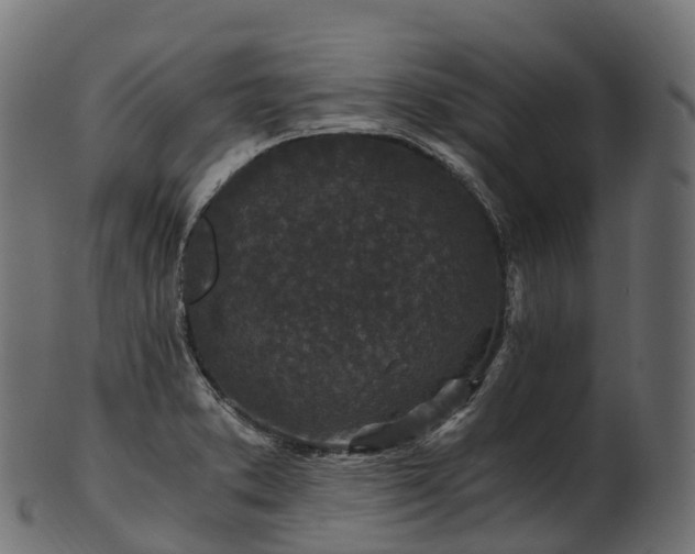 X0000101121373200807031754