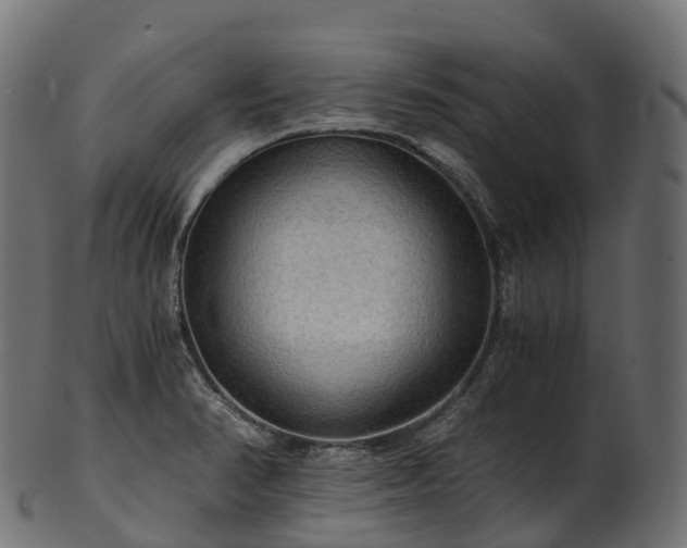 X0000101121374200807031754