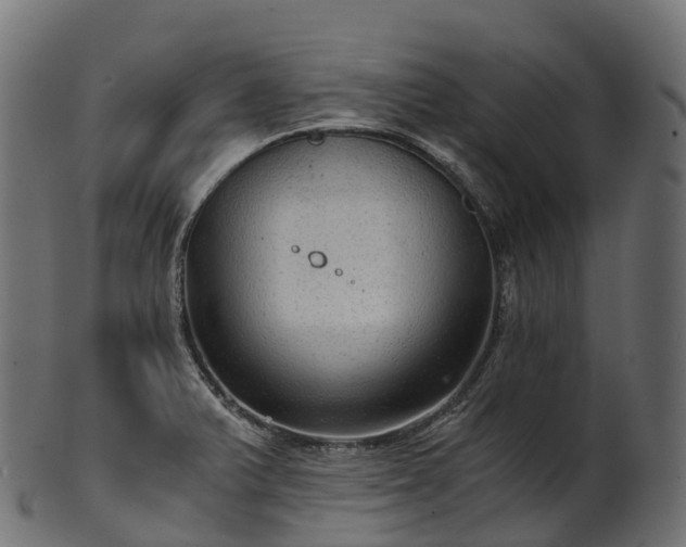 X0000101121375200807031754