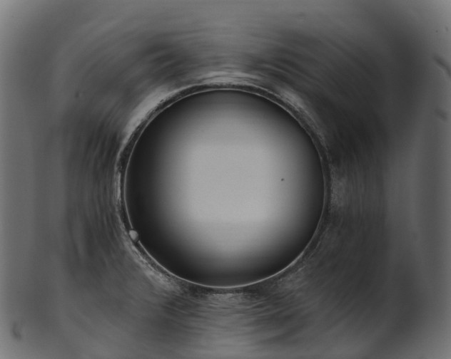 X0000101121376200807031754