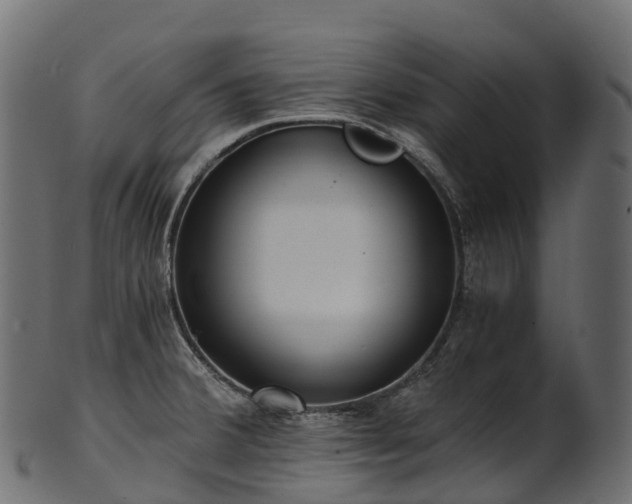 X0000101121380200807031753