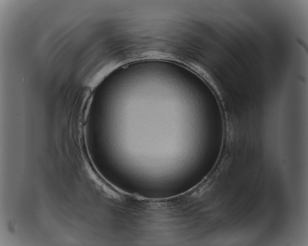 X0000101121381200807031753