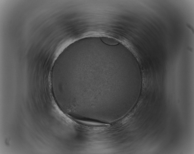 X0000101121382200807031753