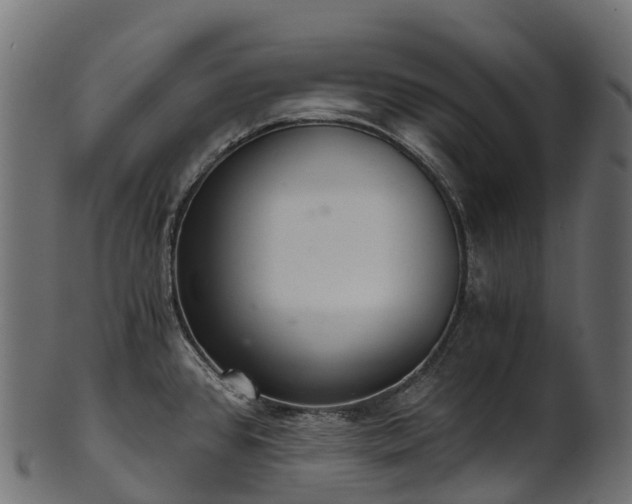 X0000101121384200807031753