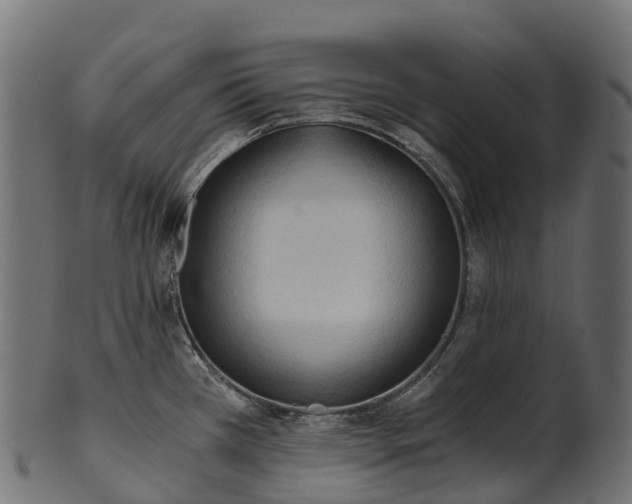 X0000101121385200807031753