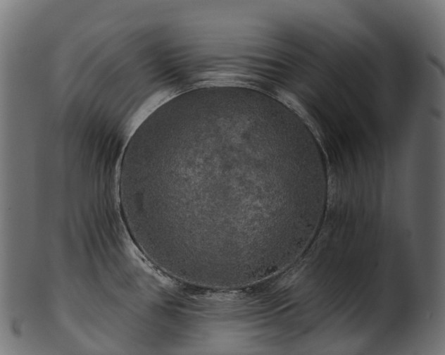 X0000101121386200807031753