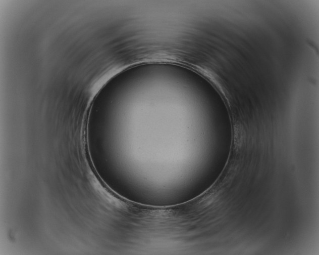 X0000101121387200807031753
