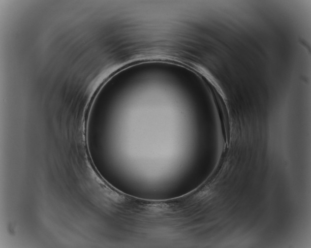 X0000101121388200807031753