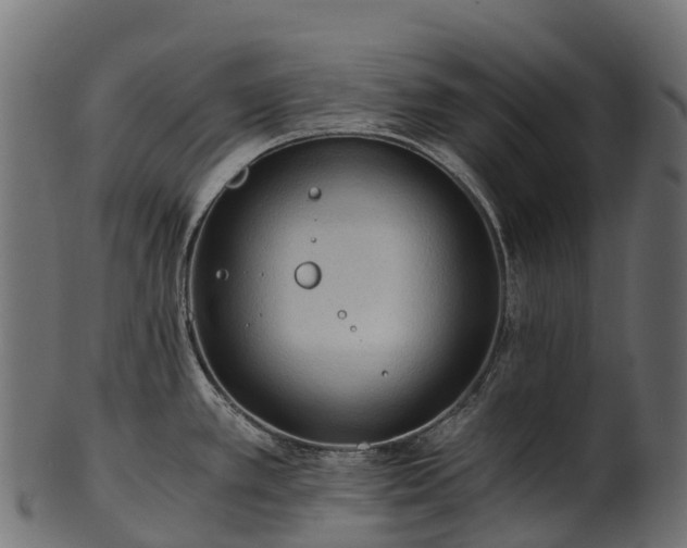 X0000101121389200807031753