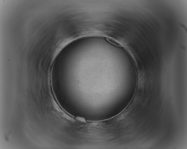 X0000101121390200807031753