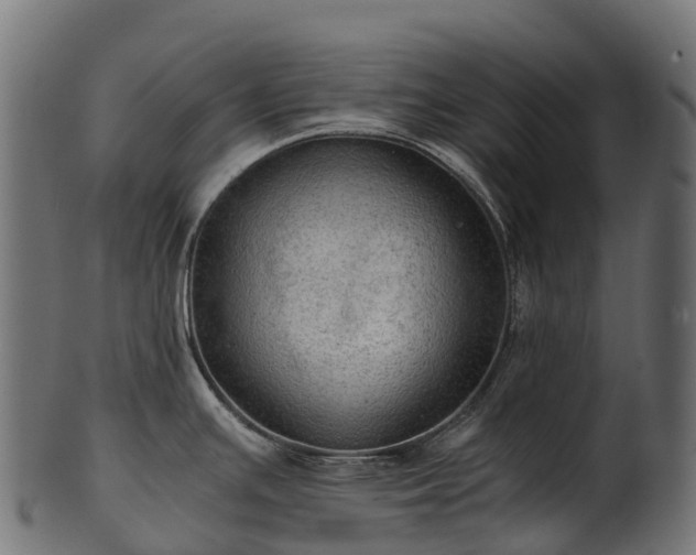 X0000101121391200807031753