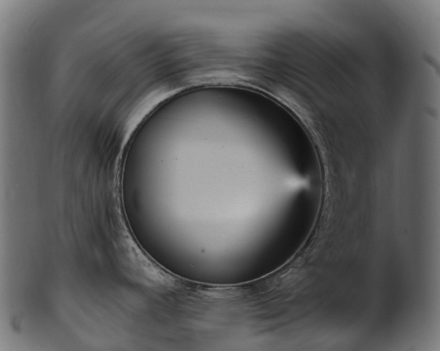 X0000101121392200807031753