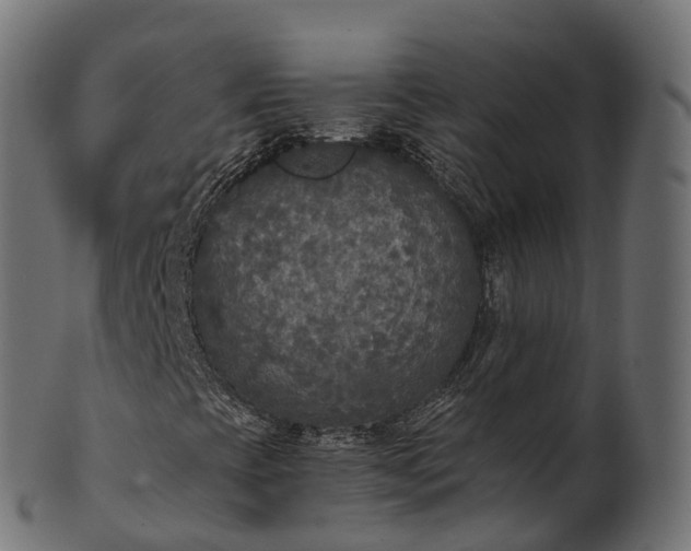 X0000101121393200807031753